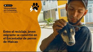 Entre el reciclaje, joven migrante se convirtió en el Encantador de perros de Maicao