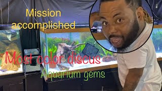 Adding new fish species to the Discus tank | 125 gallon planted discus tank