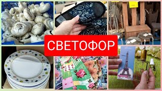 Светофор 🚦 Большой выбор Текстиль Продукты Посуда Новинки сентябрь 2022 Pd Paris