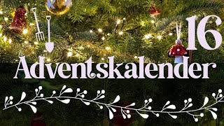 Adventskalender der Garten YouTuber 2023 / Türchen 16 der Gartenpapa