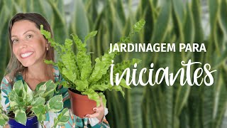 5 plantas MUITO FÁCEIS de cuidar | Plantas para iniciantes