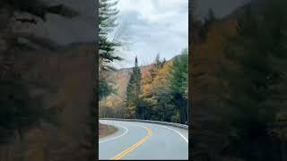 The Kancamagus Highway is one of the most popular drives to catch fall foliage in New England