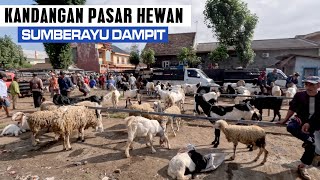 JALAN-JALAN KE SUMBERAYU KANDANGAN PASAR HEWAN DAMPIT