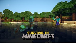 Survival in Mincraft(part 4)