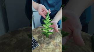 Perfect cucumber cutting skills . #shorts #chinesechef #viralvideo