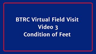 BTRC Virtual Field Visit Video 3 Feet