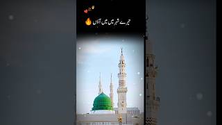 تیرے شہر میں میں آؤں | تیری نعت پڑھتے پڑھتے |  new naat | famous #shorts #islamicstatus #naat