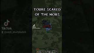 NIGHTTIME IS SCARY 🥺 minecraft message