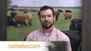 CattleFax Closing Bell: Beef Cutout Turning the Corner – October 20, 2023