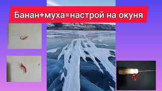 Зимний настрой на окуня.