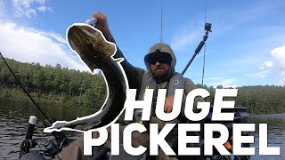 Quick trip for BIG PICKEREL on Mongaup Falls Reservoir