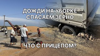 Дожди на уборке. Спасаем зерно на току. Чуть не перевернулся прицеп от КАМАЗА