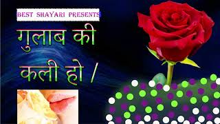 Romantic shayari//Girlfriend status shayari//Love shayari//best shayari