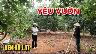 (Đã bán) ĐẤT VEN ĐÀ LẠT| CỰC HIẾM! Vườn bơ sai trĩu quả giành cho những ai yêu vườn!