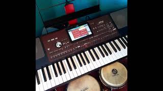 🎹"STANILAO MARINO/LAS BODAS DEL CORDERO/PISTA COMPLETA/KORG PA 700"🎹