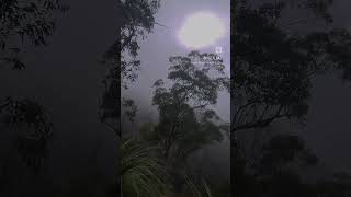 Sun under the blanket | Different Planet | Mount Barney | Queensland | Australia | Hiking | Heavenly