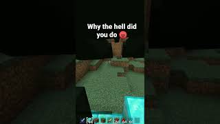 Why are you spawning enderdragons