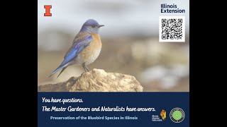 Preservation of the Bluebird species in Illinois