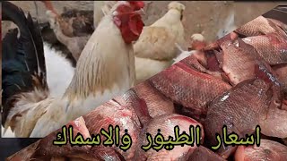 مفاجئه انخفاض اسعار الخضار🥬🍅🧄 بالاسواق عقبال الطيور 🦆🐓والاسماك 🐠