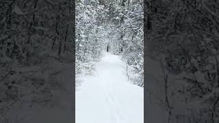 Hiking in Fresh Snow #virtualhike #winter #getoutside