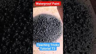 Waterproof Paint || #viral #viralvideo #trending #youtubeshorts #shots #shortsfeed #shorts #paint