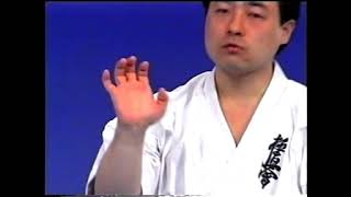 Kyokushin Karate Encycklopedia. Фильм №1. Энциклопедия Киокушин каратэ. Kihon, Tachikata, Uke, Tsuki