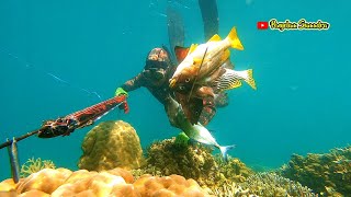 Nelayan ini Berburu Ikan di Kedalaman Laut dengan Cara yang Tak Biasa