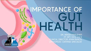 IMPORTANCE OF GUT HEALTH | Balance Physical Therapy