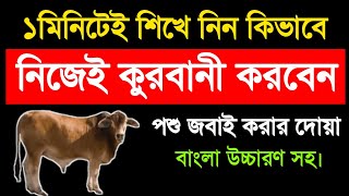 কুরবানির পশু জবাই করার নিয়ম | কুরবানীর পশু জবাই করার দোয়া | ১মিনিটে নিজেই কুরবানী করা শিখুন  kurbani