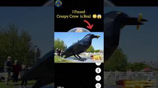 I Found Creepy Crow is Real😳😱On Google Earth #shorts #google #googlemaps #googleearth #youtubeshorts