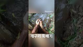 곡 설명 : 이 음악은 개구리 뚝... #생존 #에드스태포드 #에드