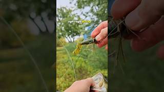 Smallie Smokes Bitchy Jig #bassfishing #smallmouth #river