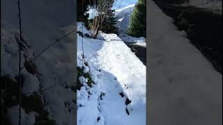 1st SnowFall In Sethan Valley ☃️ ! #shorts #shortsvideo #youtuber #short #manali #shortvideo