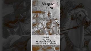 Mahabharat Ki Shuruaat: Bhagavad Gita Ka Dusra Shloka #bhagavadgita #mahabharata #dhritarashtra