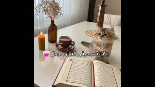 استمع للقرأن💗 #اكسبلور #cat #shortvideo #فلسطين #قطط #youtubeshorts #viral #shorts #short #youtube