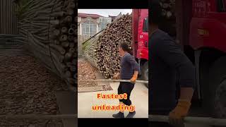 Fastest unloading #shorts #amazing #unloadingtruck #unloading #workers #workersskills #doyoulikeit