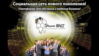 Вебинар по социальной сети Streams BUZZ от 30 07 23