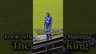 Malinga 😍🔥 #malinga #shorts #rizwanali #cricket #ipl #ipl2024 #cricketlover #ytshorts