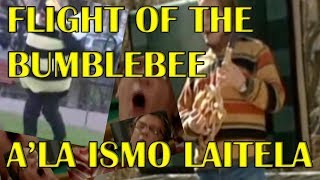 Flight of the Bumblebee A'la Ismo Laitela