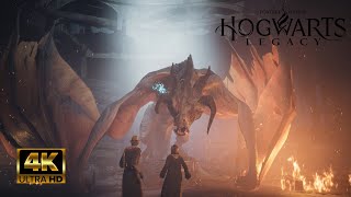 Hogwarts Dark Wizard Gameplay Hard Difficulty  : hogwarts legacy dragon attack