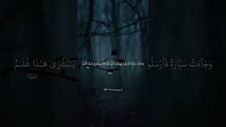 #قران_كريم سورة يوسف آية: 11 - 24 : قال يأ بانا مالك لا تأمنا على يوسف #سعود_الشريم