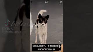 Внешность не главноє, говорили они 🥺