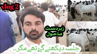 bail jalsa|bail jalsa 2022|bull race|abid mehmood official