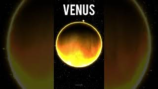 VENUS