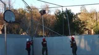 SMART Hawk trapped in BB court rescue