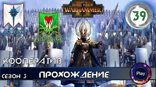 Total War Warhammer 2 \ Прохождение игры \Сезон 3 \ Часть 39 \ Кооператив за высших эльфов