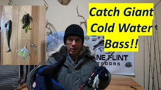 How to Catch Giant Winter Bass!! #fishing #bass