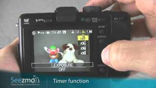 Panasonic GF1: Timer Function Guide.