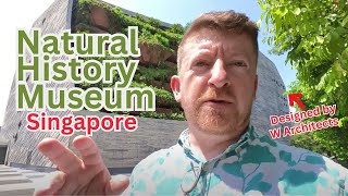 Is the Natural History Museum in Singapore worth visiting? 🇸🇬