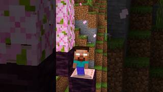 Herobrine!!! (Poi Poi Poi meme) #minecraft #herobrine